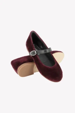 Ballerines Aubergine velours