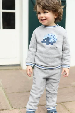 Ensemble jogging Gris hérisson pixel