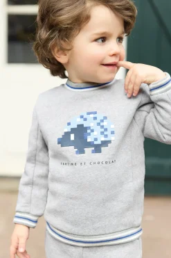 Ensemble jogging Gris hérisson pixel