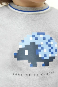 Ensemble jogging Gris hérisson pixel