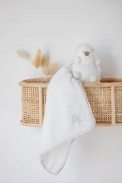 Léon le hérisson Doudou écru