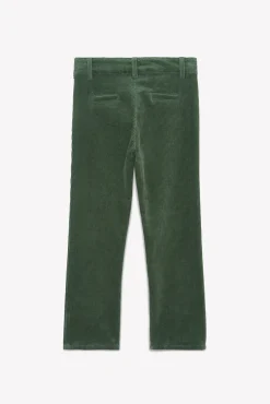 Pantalon Vert de gris en velours