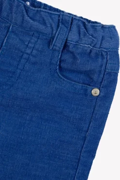 Pantalon Bleu électrique en velours