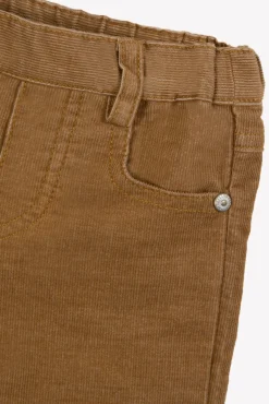 Pantalon Ecorce en velours