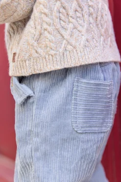 Pantalon Bleu grisé en velours