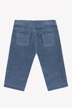 Pantalon Bleu grisé en velours