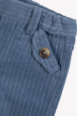 Pantalon Bleu grisé en velours