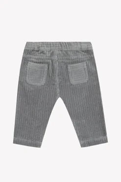 Pantalon Gris en velours