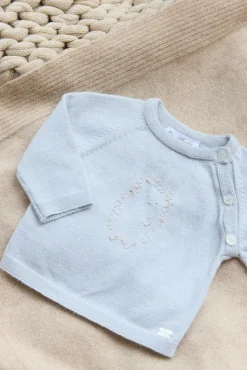 Pull Bleu broderie hérisson
