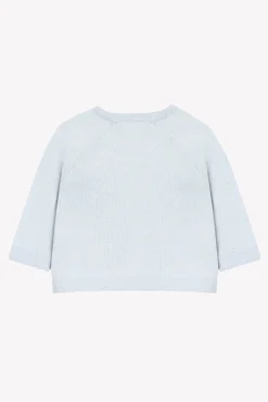 Pull Bleu broderie hérisson