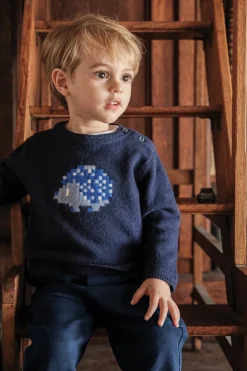 Pull Marine illustration hérisson pixel