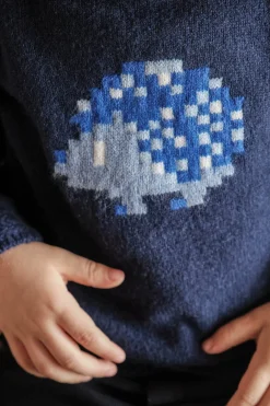 Pull Marine illustration hérisson pixel