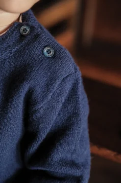 Pull Marine illustration hérisson pixel