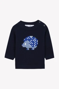 Pull Marine illustration hérisson pixel