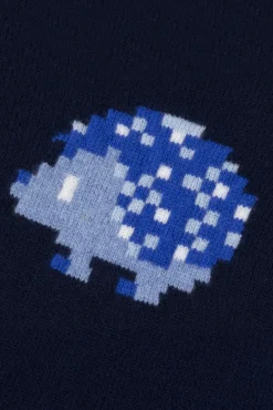 Pull Marine illustration hérisson pixel