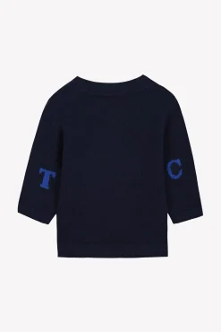 Pull Marine illustration hérisson pixel