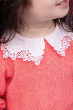 Pull Praline col broderie anglaise