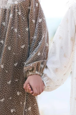 Robe Bronze velours et tulle