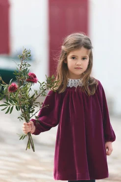 Robe Prune en velours