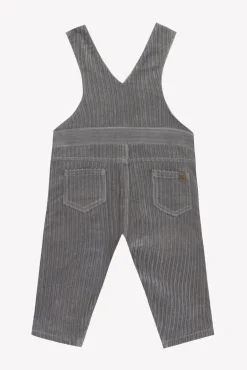 Salopette longue Gris moyen en velours