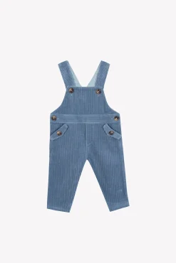 Salopette longue Bleu grisé en velours