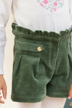 Short Vert de gris velours